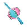 Interactive Outdoor Fly Ball Flying Saucer Ball Interesting Dog Soccer