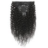 Luovce Clip in Hair Extensions Real Human Hair Kinky Curly