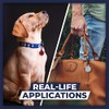 AirTag Holder Keychain - Secure Silicone Case for Keys, Pets