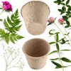 KADAX Peat Pots, Propagation Pots, Degradable Propagation Pots, Seedlings Propagation