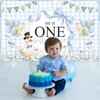 Ticuenicoa One Silly Goose Banner 70.8x43.3 Inch - Blue Gingham