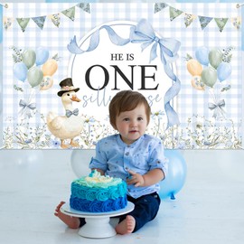 Ticuenicoa One Silly Goose Banner 70.8x43.3 Inch - Blue Gingham Goose Design with Floral Balloons Arch - Birthday & Celebration Party Decor