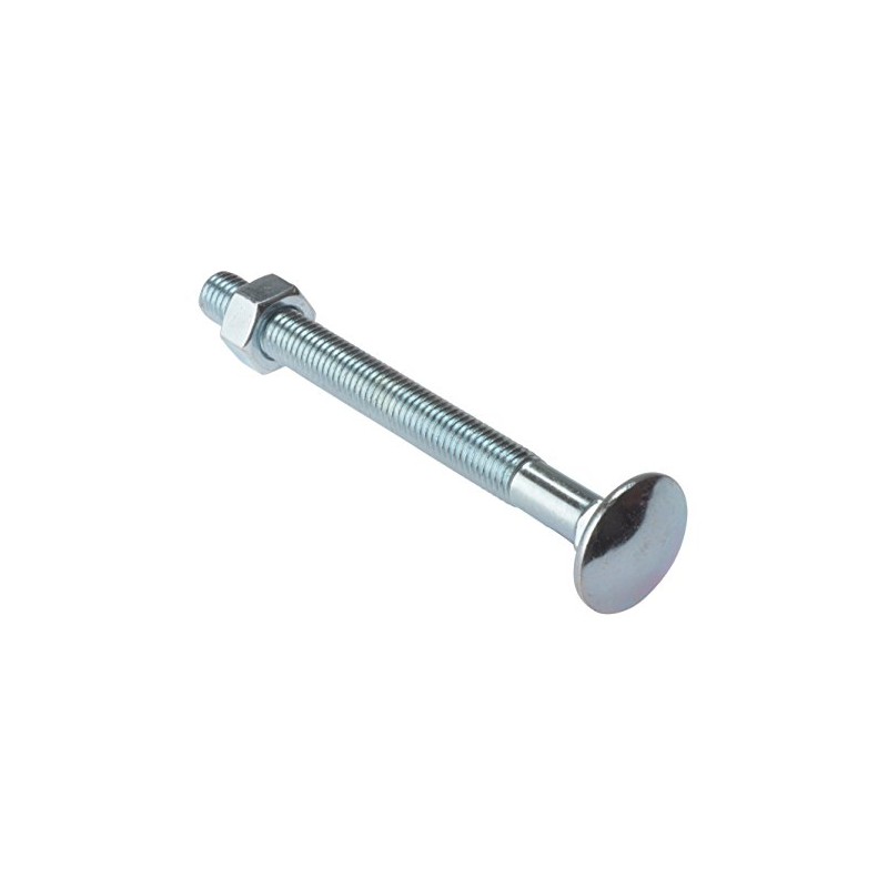 ForgeFix Carriage Bolts | M10 x 100mm | Zinc Plated