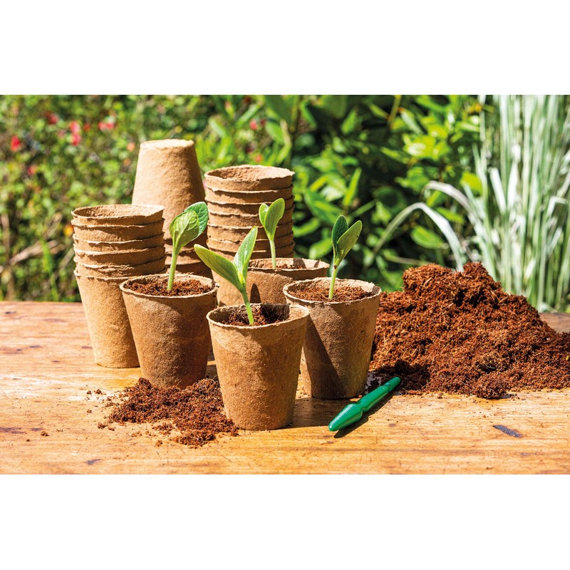 Romberg Classic Cultivation Pots Round Diameter 8 cm (Pack of