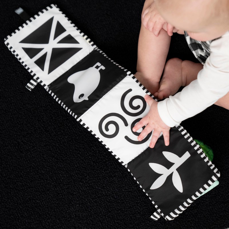 Baby Einstein Baby Einstein Farm Explorers Counting at The Farm