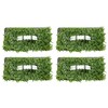 SodPods® St. Augustine Palmetto Grass Plugs for Lawn Repair, 3"