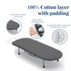 Tabletop Ironing Board with Iron Holder, RAINHOL Small Folding Ironing