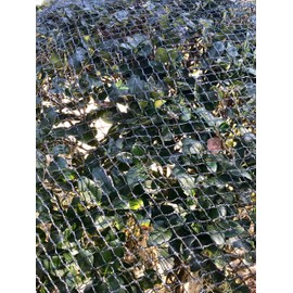 Commercial Grade Heavy Duty Polyethylene Anti Bird Netting for Garden Blueberries Fruit Trees Poultry Cage Pond Net Reusable Does not Tangle Snag or Rot (20 ft x 33 ft)