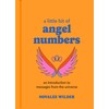 A Little Bit of Angel Numbers: An Introduction to Messages