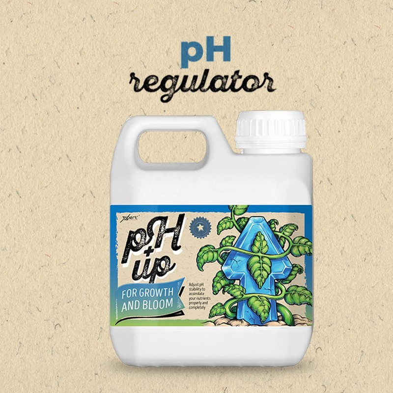 Xpert Nutrients pH Up (250 ml)
