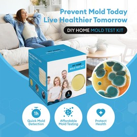 Mold Test Kit for Home - 5 Individual Black Mold Testing Kit Air, at Home Mold Testing Kit for Indoor Air Quality, Includes Detailed Mold Identification Guide, Reliable Mold Detector Kit