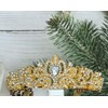 Retirement Tiara Sash Gold Officially Retired Crown White Sash for