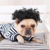 AIMALL Explosive Head Pet Wig with Bangs, Funny Braided Dog