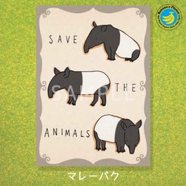 Sealdo bp-pc-20017 Shinzi Katoh Postcards, Baku, Water, Birds, Endangered Species, Set of 4