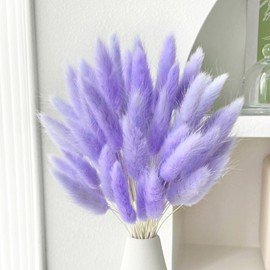 60PCS Rabbit Tail Grass Dried Flowers Dried Natural Floral Arrangement Bunch Decoration Dried Grass,Eternal Flower Dried Grass for Home,Wedding,Party,Flower Bouquet,Photo Props Decor (Purple)