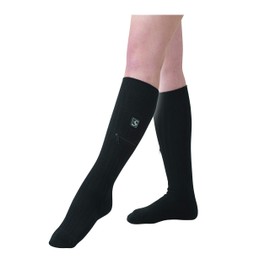 Kumagai Anyo Kotatsu (ML)