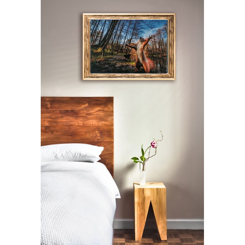 Puzzle 1000 Pieces Squirrel Squirrel 69 x 51 cm Forest