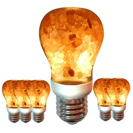Himalayan Glow Salt Lamp LED Light Bulbs 60-Watt Equivalent, Warm Amber Glow, Dimmable E26 Edison light bulb for Decor, Homes, Offices, Kitchen, 6 Pcs