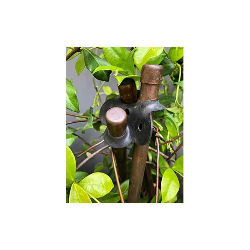 PLANT SUPPORT MADE EASY Stretch Rubber Plant Stake Connecters, 6-Pack,