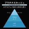 晴香堂(HARUKADO) カーオール 車用 芳香剤 レガリア エンリッチ プラチナスカッシュ 65ml 1385
