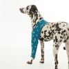 ROZKITCH Dog Wound Cover for Front Right Left Leg, Pet