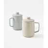 BRUNO BHK297-BGR Enameled Oil Pot, 0.3 gal (1.0 L) Fuji