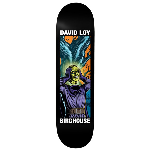 Birdhouse Skateboard Deck David Loy Second Life 8.5"" x 31.5"",