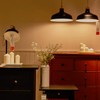AOGOLO A19 9W LED Light Bulb, 6 Pcs, Warm White