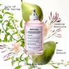 Maison Margiela Maison Margera Replica Springtime in a Park 3.4