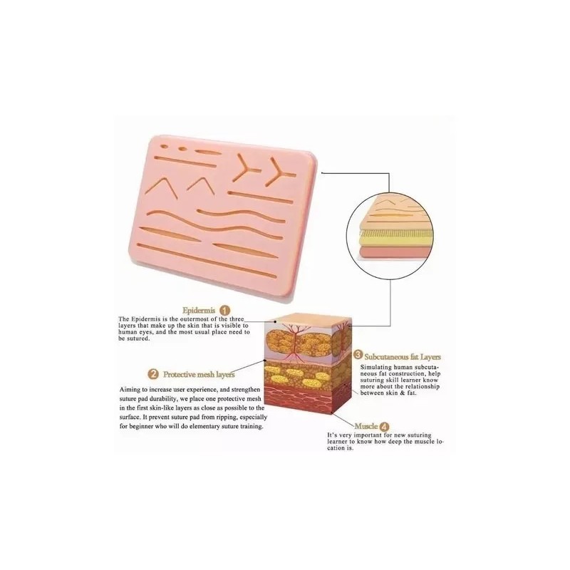 OEM Pad Para Práctica De Sutura Insiciones Pad De Sutura