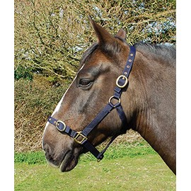 Rhinegold Shetland Nylon Head Collar, Navy