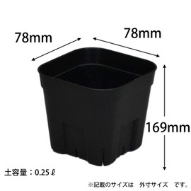 Apple Wear Prestella 90 Type 10 Pairs Black