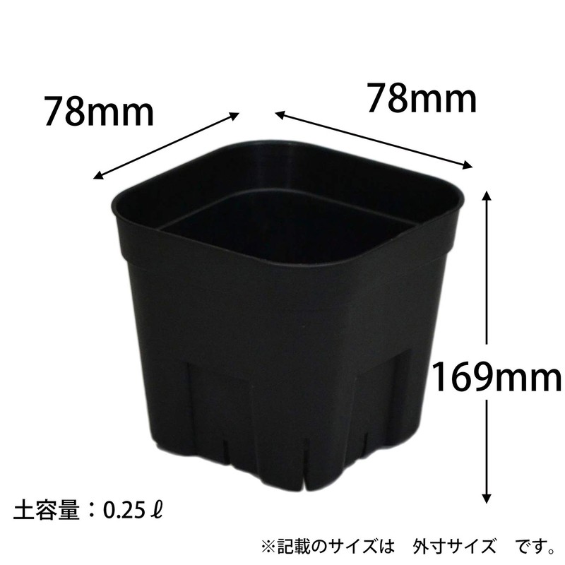 Apple Wear Prestella 90 Type 10 Pairs Black