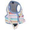 Rainbow Wear Harness | Dog Harness, For Walking, Dog Harness,