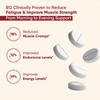 Vitaminnica Vitamin B12-180 Tablets – Energy & Vitality Support, Reduces