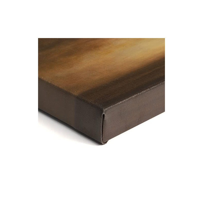 ArtDirect Haeckel, Ernst 24x17 Gallery Wrapped Canvas Museum Art Titled: