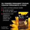 Garnier Olia, Permanent Hair Dye, Ammonia-Free Hair Color, 5.3 Medium