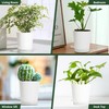 LESOASIS 4 Inch 5 Pack Small Self Watering Pots for