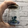 Fish Belli Water Dragon Mini Desk Pet with Adoption Certificate