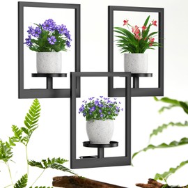 Duxeuwe Picture Frame Wall Plant Holder, Metal Window Plant Shelves Plant Holder for Indoor Plants, Hanging Wall Planters Wall-Mounted Plant for Home, Office, and Garden (Black, 3PCS)