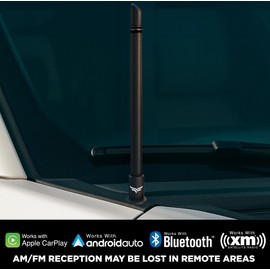 EcoAuto Short Truck Antenna Replacement for Ford F150 Super Duty Ford Raptor & Bronco & Dodge Ram 1500 F150 Accessories - Raptor Accessories - Anti-Theft Design - Antenna for Truck - (8 Inch)