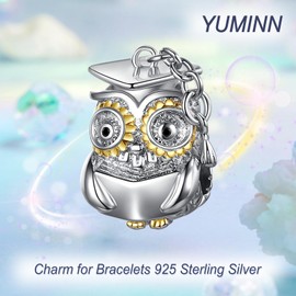 YUMINN Graduation Owl Bouquet Charm for Women's Bracelets & Necklaces Dangle Pendant for Christmas, Valentine's Day, Mother's Day, Jewellery Gifts for Girls, Sterling Silver, Cubic Zirconia