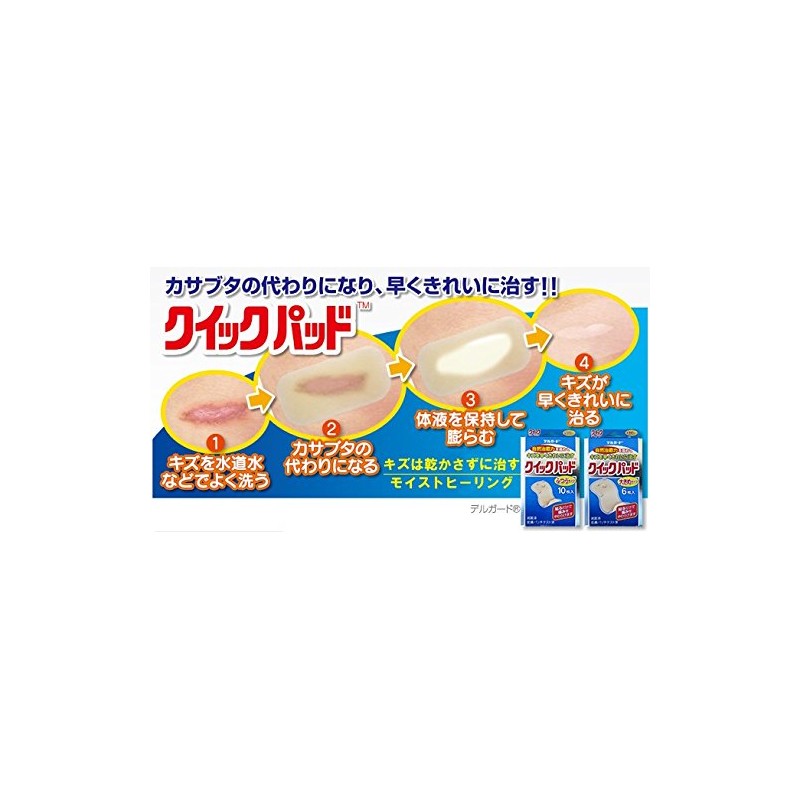阿蘇製薬 デルガード クイックパッド 大きめサイズ 6枚