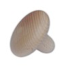 Mushroom Massage Aid Made of Hardwood