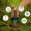 SALKING Woodsy Essential Oils Set for Men, Masculine Essential Oils,