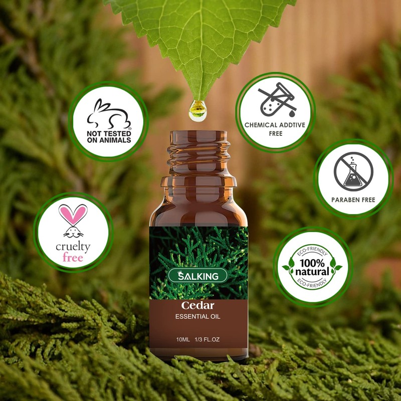 SALKING Woodsy Essential Oils Set for Men, Masculine Essential Oils,