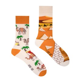 Spox Sox Casual Unisex Socks, Multi-Coloured, Colourful Socks for Free Spirits, camels