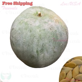 Treevale Wax Gourd Seeds- Ash Gourd, White Winter Gourd, Dong Qua | NON-GMO, Organic - 10 Seeds No Tracking