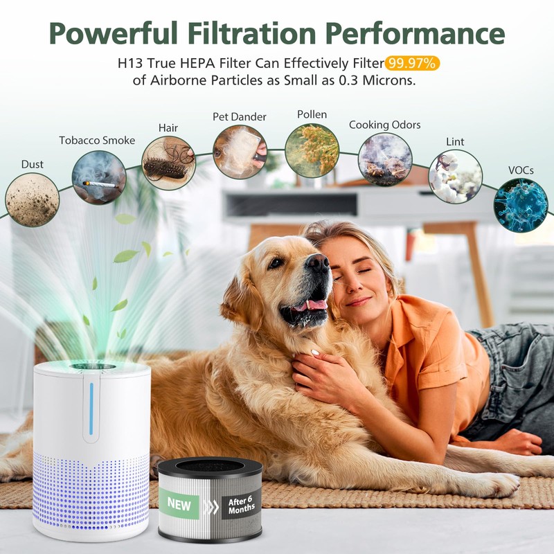 M01 Replacement Filter Compatible with MOOKA M01 Air Purifier, H13