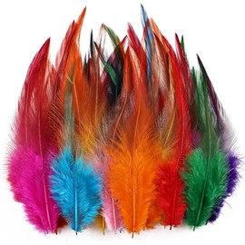 Feathers for Crafting,240pcs 5-7inch Colorful Craft Rooster Feathers,Saddle Hackle Feather,Bulk Feathers for Wedding Home Party,Dream Catcher Supplies and DIY Crafts